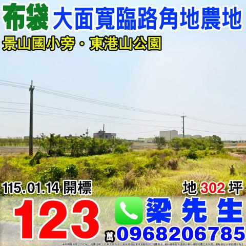 嘉義布袋法拍農地-0